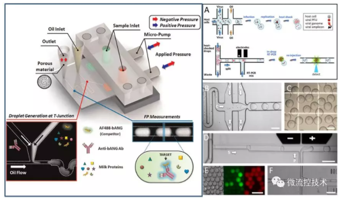 液滴微流控技術(shù)應(yīng)用于分子診斷免疫檢測和病毒感染性檢測