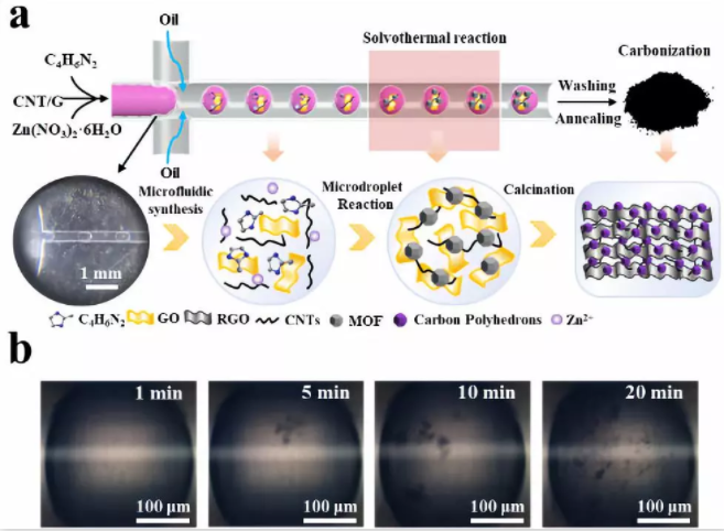 圖2. (a) 微液滴法制備微介孔碳骨架納米材料示意圖；(b) 單個液滴不同反應時間的光學照片。