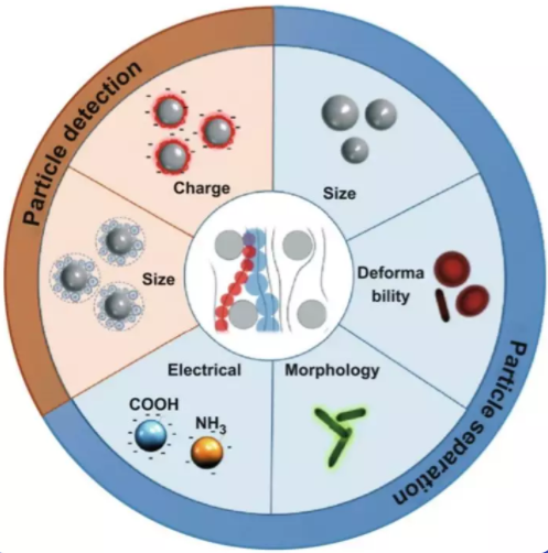 DLD知多少？新加坡NSU綜述帶你了解微流控生物醫(yī)學(xué)新技術(shù)！