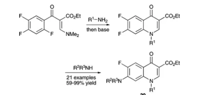 方案13 環(huán)丙沙星類似物庫的合成30
