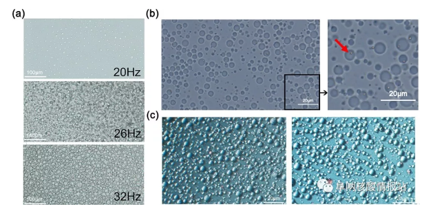 圖3 a) 乳液中液滴的性質(zhì)。(a)不同振動頻率下乳液的特性；(b)一個(gè)乳狀液艙內(nèi)的單顆珠子的照片；(c)乳液熱循環(huán)前(左)和熱循環(huán)后(右)的照片。