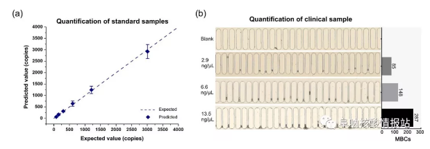 圖6 定量檢測目標(biāo)DNA