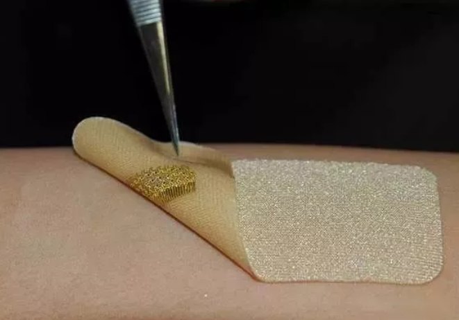 基于微流控技術(shù)的新型生物傳感器可用于實(shí)時(shí)檢測(cè)病原菌