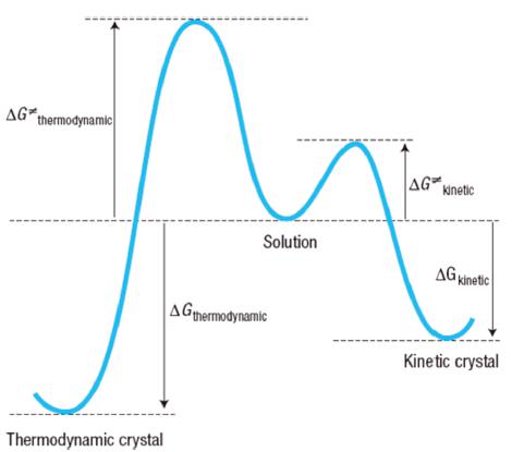 圖3 從溶液到熱力學(xué)和動力學(xué)晶體的假設(shè)轉(zhuǎn)變；Δg熱力學(xué)和Δg動力學(xué)之間的差異決定了動力學(xué)晶體的易形成性