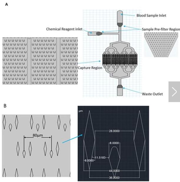 （A）微流控芯片的總體布局；（B）微柱的詳細(xì)尺寸