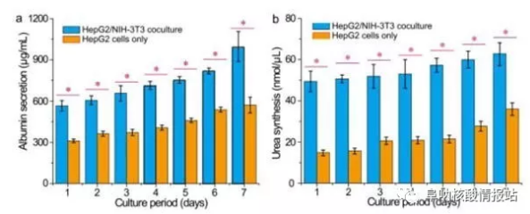 圖片6.png 圖5 肝細(xì)胞/成纖維細(xì)胞共培養(yǎng)和肝細(xì)胞培養(yǎng)的肝臟特異性功能的測定。在七天內(nèi)測量的HepG2 / NIH-3T3共培養(yǎng)和HepG2培養(yǎng)的a)白蛋白分泌和b）尿素合成。