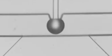 圖3 液滴融合以及掐斷過程慢動(dòng)作回放（注：原高速視頻以10000幀每秒拍攝，當(dāng)前的GIF圖片以10幀每秒回放，放慢了1000倍）