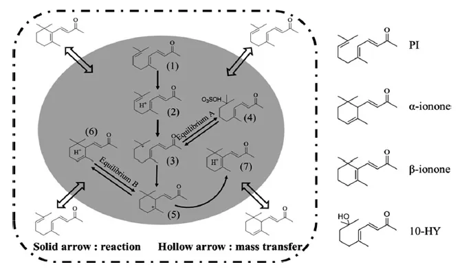 兩相系統(tǒng)中PI的環(huán)化