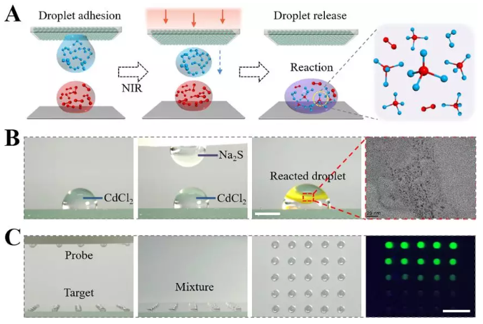 圖3 可編程浸潤性陣列通過可控釋放的液滴構(gòu)建微反應(yīng)器進(jìn)行化學(xué)合成以及生物檢測