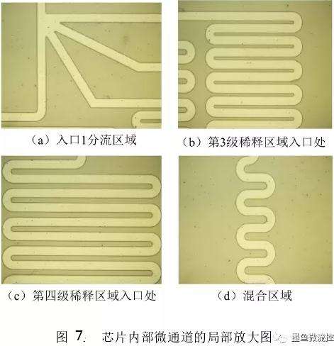 PDMS芯片內(nèi)部通道局部放大圖 PDMS芯片內(nèi)部通道局部放大圖