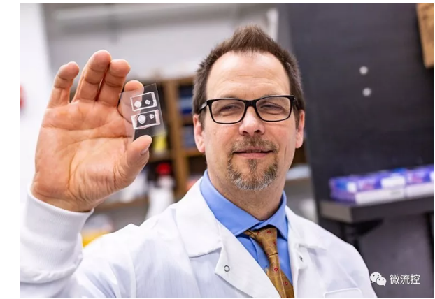 德克薩斯大學達拉斯分校的生物工程師與德克薩斯大學西南醫(yī)學中心的合作者能夠創(chuàng)建角膜組織模型，并利用它們來研究受損眼睛是如何愈合的。