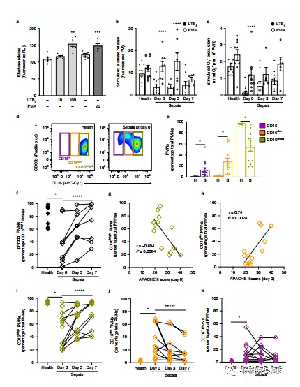 圖2 中性粒細(xì)胞亞群（PWN）及其在敗血癥和健康患者中的作用