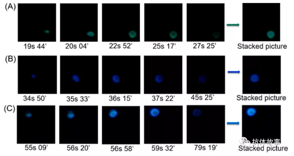 圖1 檢測視頻不同時間典型截圖的疊加圖像，圖像分別對應(yīng)檢測區(qū)域1(A)、2(B)、3(C)產(chǎn)生的光發(fā)射