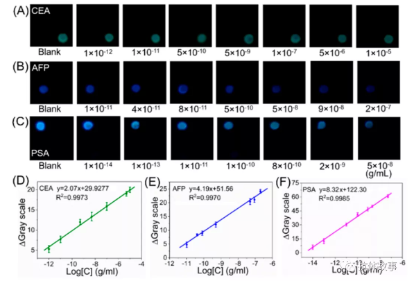 圖2 檢測區(qū)1(A)、2(B)和3(C)號在不同濃度的CEA、AFP和PSA存在時的堆疊圖片。CEA (D)、AFP (E)、PSA(F)為視頻檢測模式的代表性校準(zhǔn)曲線