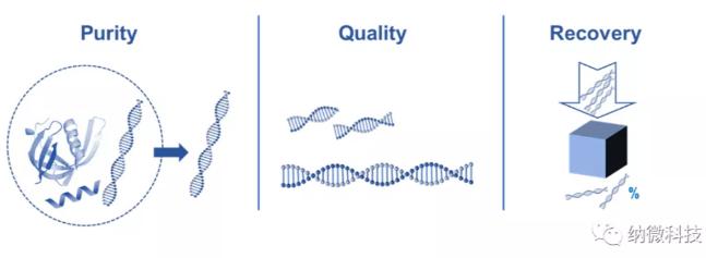 如何評估磁珠法提取核酸的效果？ 