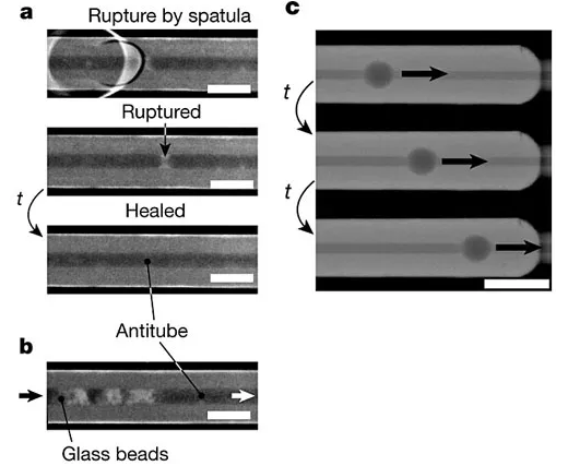 具有“自愈”功能的液體管壁微流體通道。圖片來源：Nature