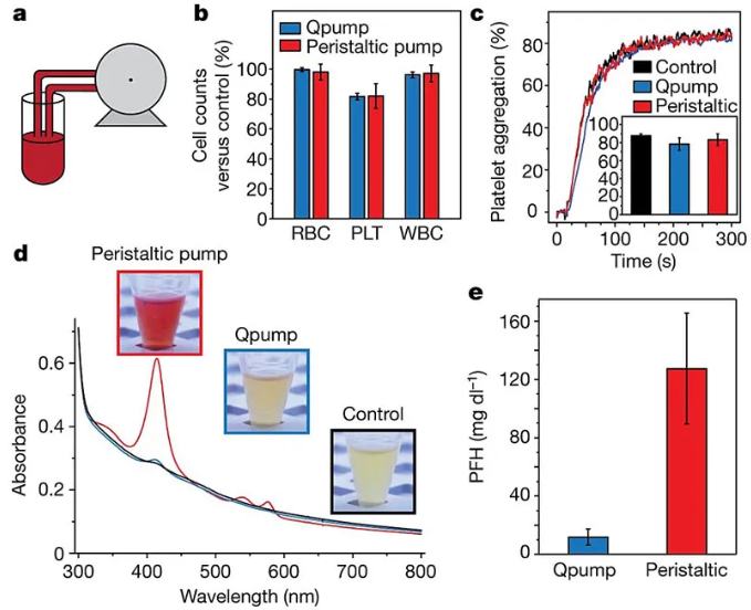 利用“磁蠕動泵”輸送血液。圖片來源：Nature