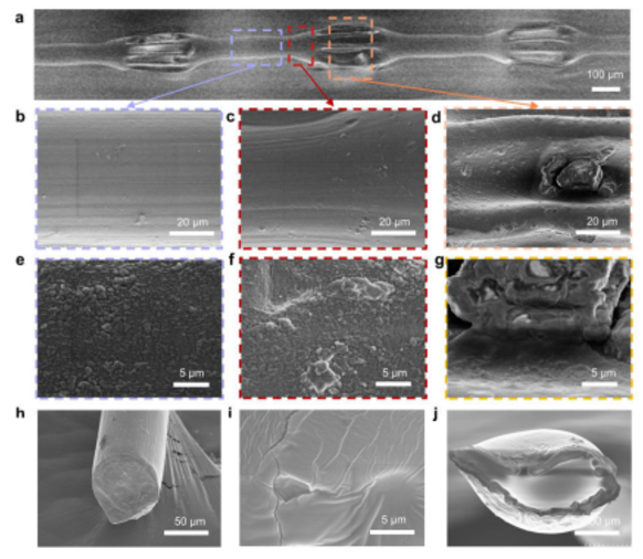 微流控沙漏型微纖維形態(tài)