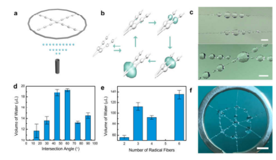 微流控沙漏型微纖維網(wǎng)絡液滴吸附