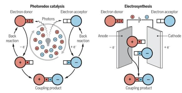 微流體電催化平臺(tái)，成功實(shí)現(xiàn)合成自由基化學(xué)應(yīng)用大突破