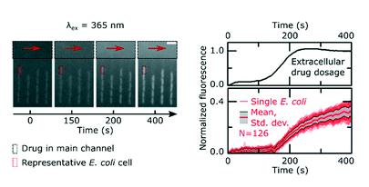 單細(xì)胞微流控技術(shù)幫助對抗抗生素耐藥性