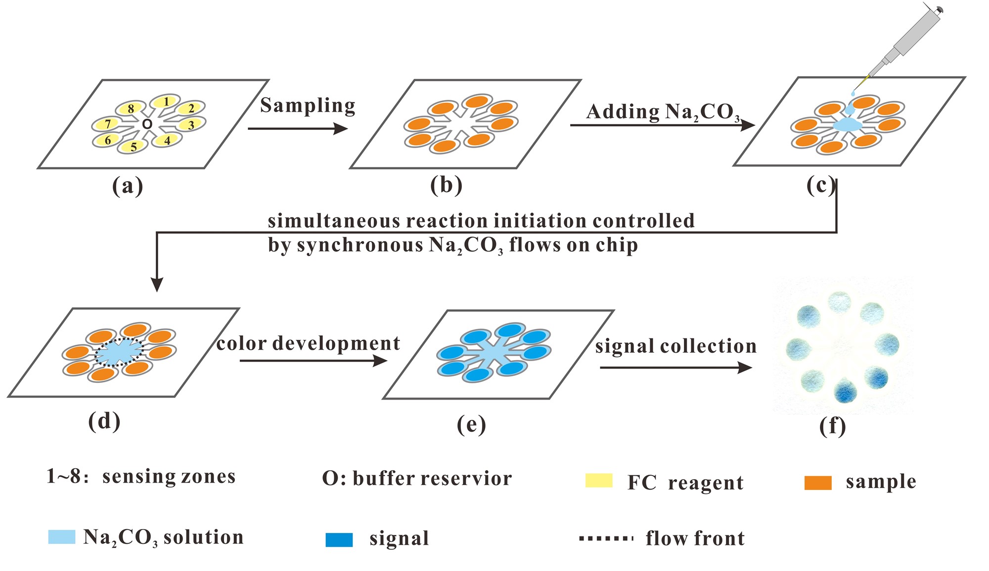 微流控紙芯片技術(shù) 10分鐘可測出茶多酚含量