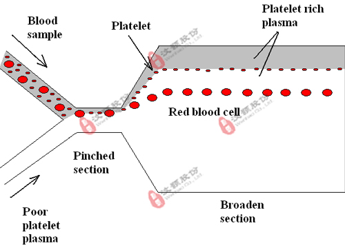 血栓診斷儀器與配套芯片委托開發(fā) 血栓診斷儀器與配套芯片委托開發(fā)