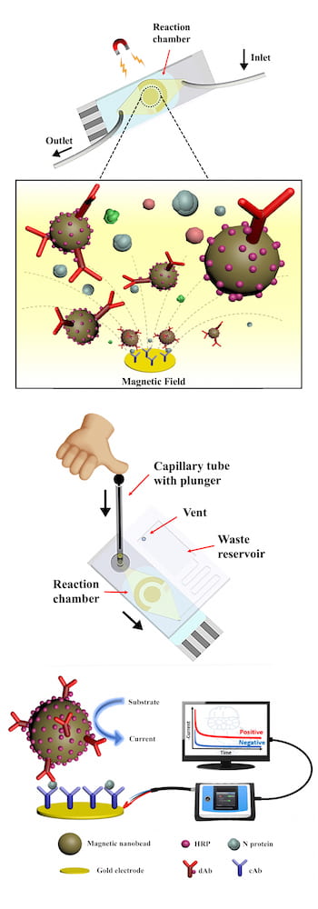 微流控芯片簡化了COVID-19檢測，可在55分鐘或更短時間內在手機上提供結果