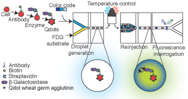 微流控.png 微流控.png