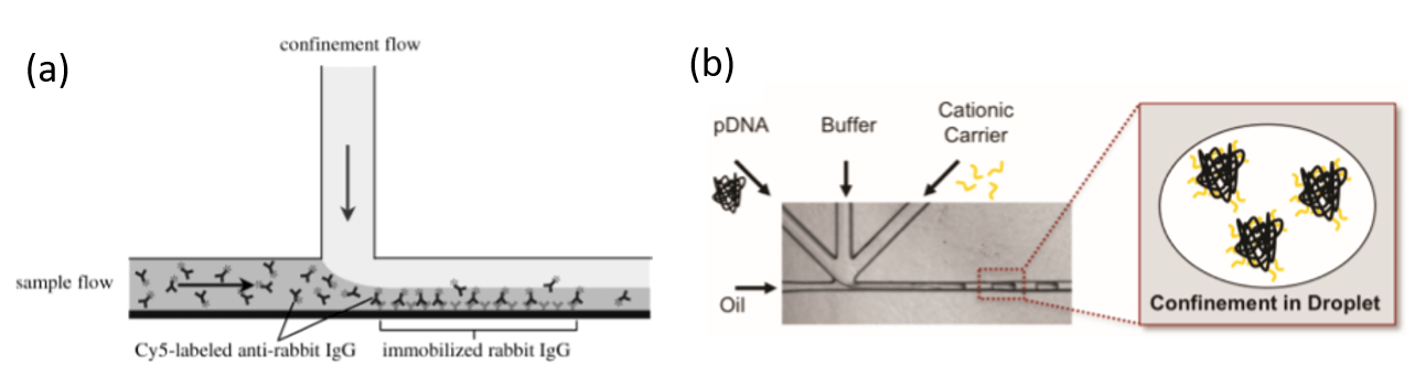 1671006276980539.png 圖片7.png