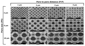 1674979333536335.png 4.png