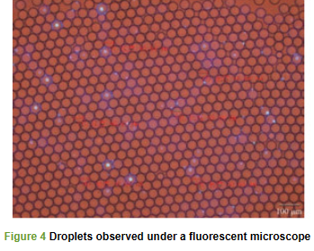 1691715105766190.png 圖片10.png