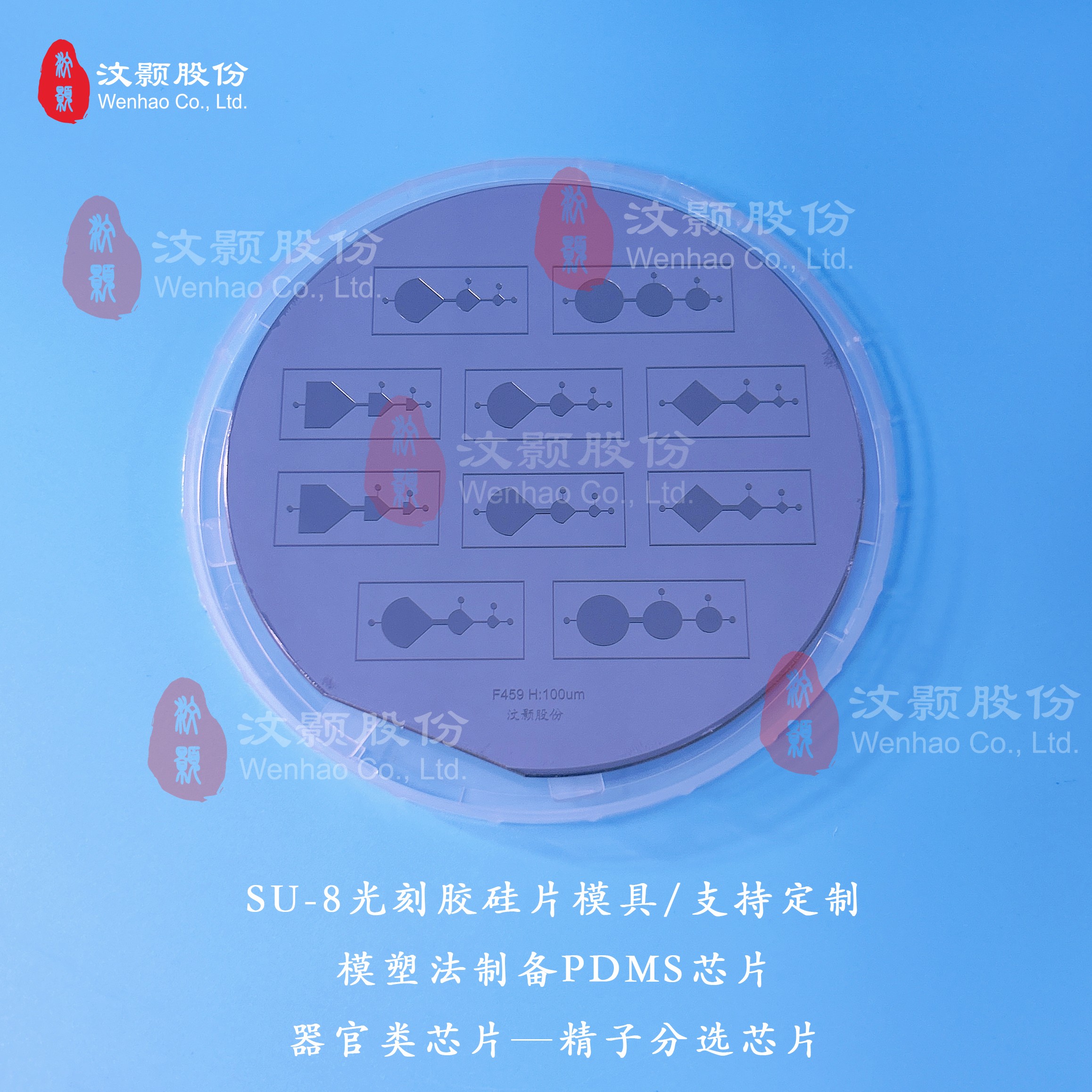 1694164182169568.jpg 1694164182169568.jpg