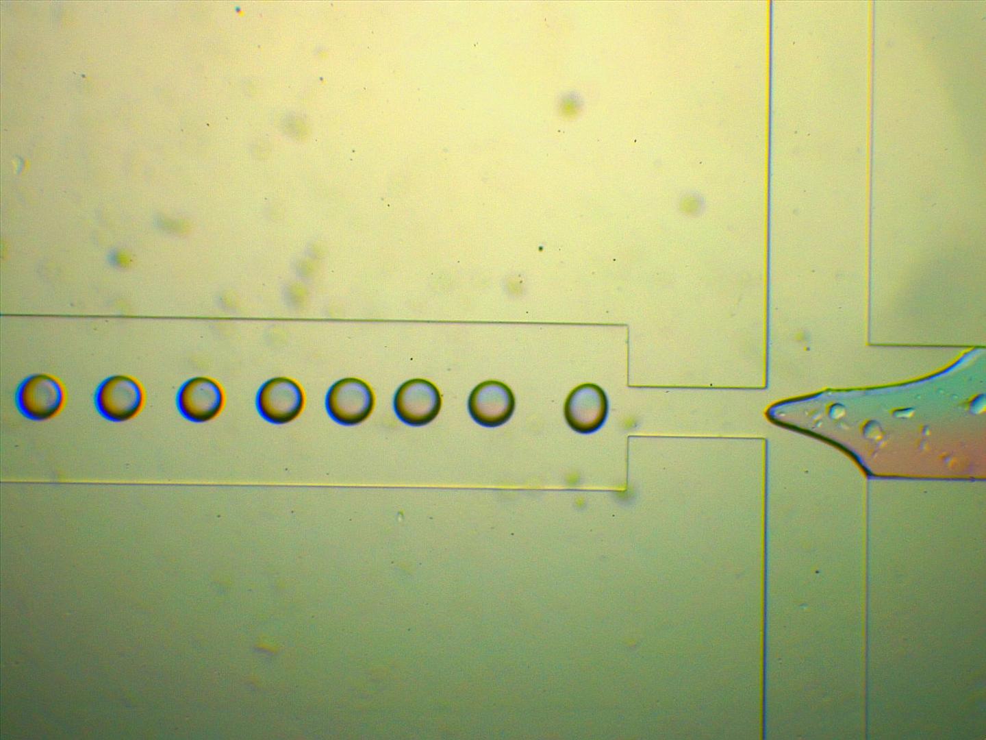 1721958112990567.jpg 1721958112990567.jpg