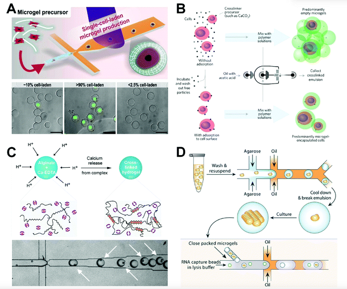 1741572606215253.png 1741572606215253.png