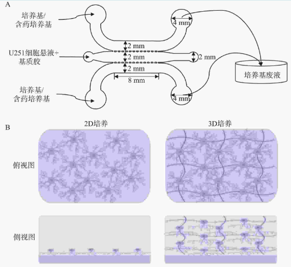 1747104297113249.png 1747104297113249.png